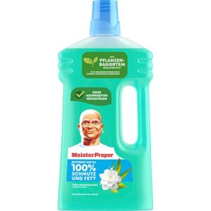 Meister Proper Frühlingserwachen Uniwersalny Środek Czyszczący 1 l